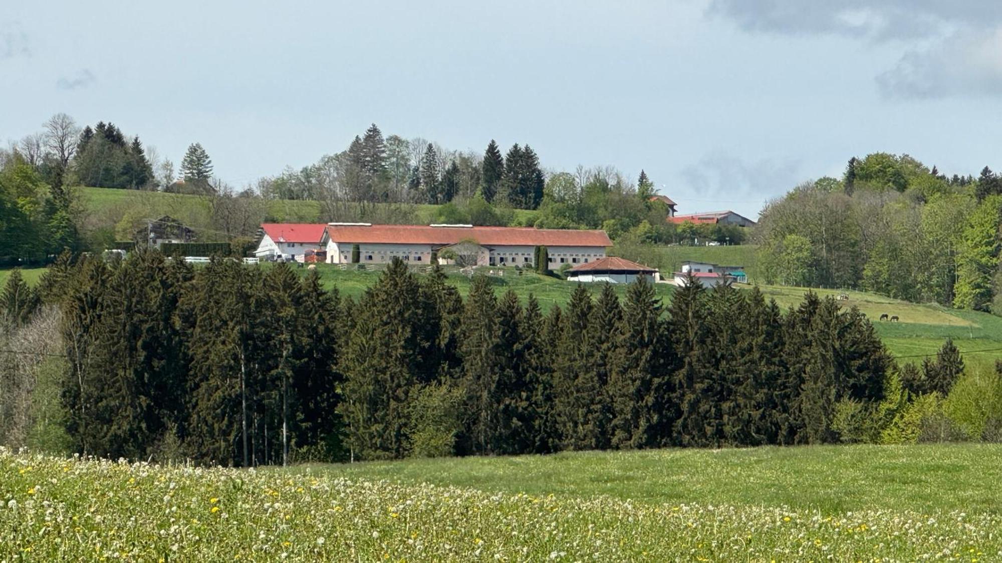 Buchenberg Gut Buchenhofアパートメント エクステリア 写真